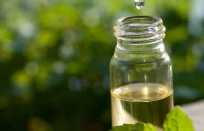 Tea Tree Oil Home Remedies for bacterial Vaginosis